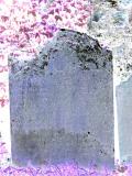 image of grave number 379001